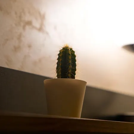 House 78 Apartment Bari